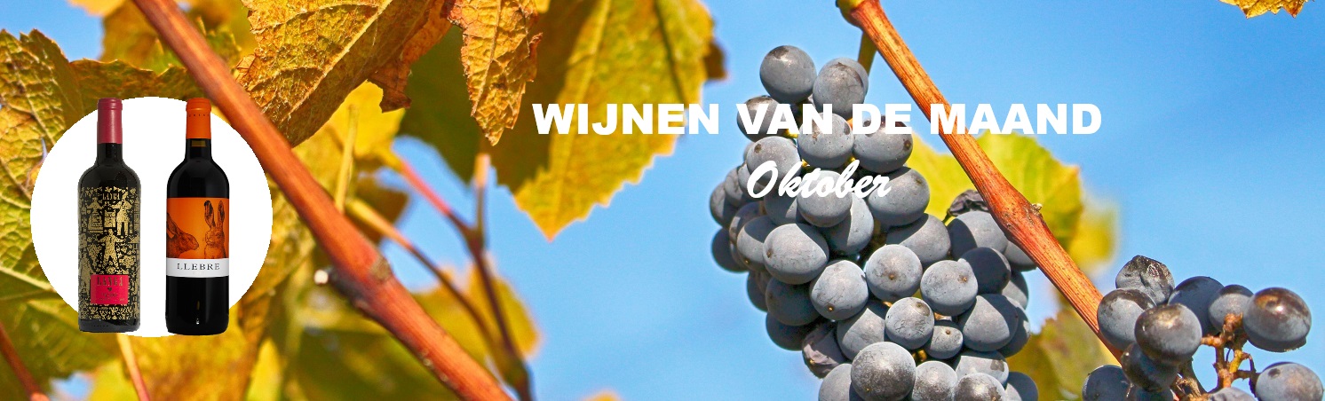 Blog afbeelding